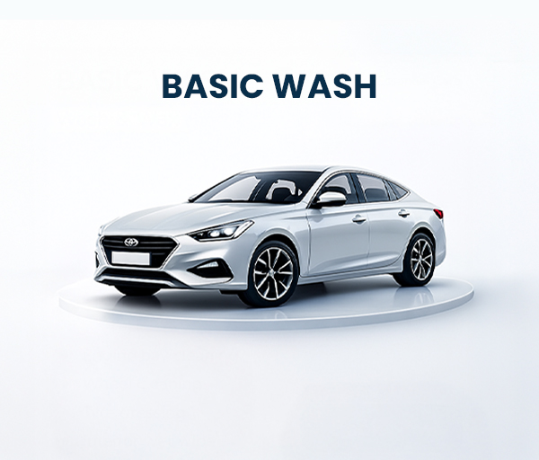 Basic Wash